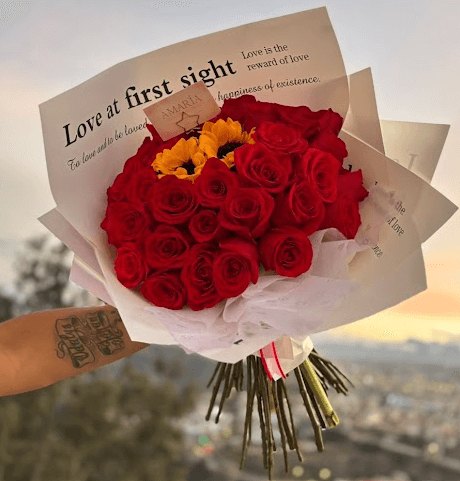 Ramo Love First Sight